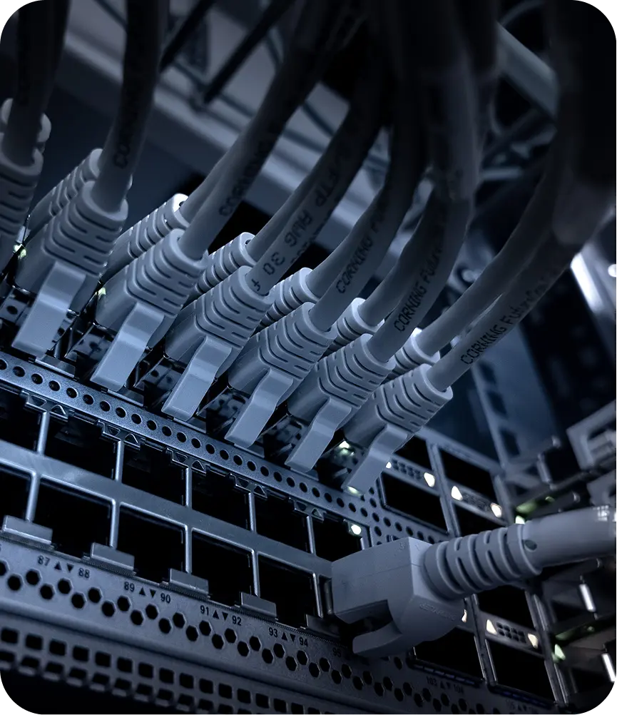 Network cables connected to a server rack.